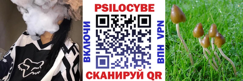 Псилоцибиновые грибы Cubensis  Купить где  Агидель 